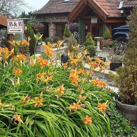 Bridge Farm Guesthouse Rooms Dundry Εξωτερικό φωτογραφία