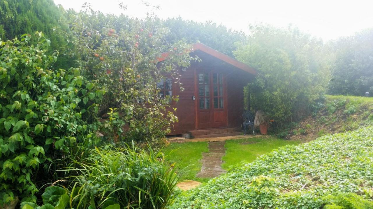 Bridge Farm Guesthouse Rooms Dundry Εξωτερικό φωτογραφία